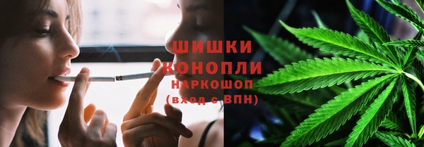 сатива Абаза